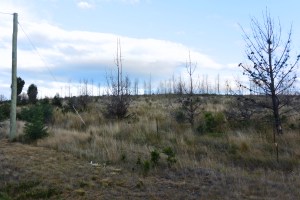 Change the orientation - original (horizontal)